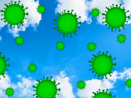 Viruses in the Air